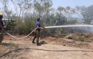 INCENDIO EN ALLENDE MOVILIZA A PROTECCIÓN CIVIL.