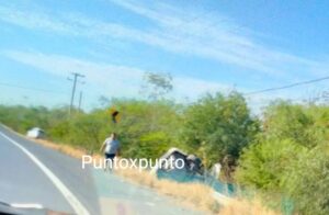IMG-20230831-WA0003