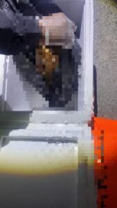 1000109941