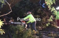 SOLO DAÑOS DEJO EL PASO DE LA TROMBA EN GALEANA.