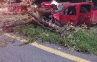 ACCIDENTE EN CARRETERA NACIONAL RESCATA PROTECCIÓN CIVIL A LESIONADOS.