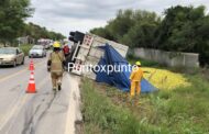 VUELCA CAMIÓN CARGADO DE NARANJAS EN LINARES.