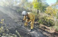 VAN 80 HECTAREAS AFECTADAS POR EL FUEGO EN LA SIERRA EN ITURBIDE.