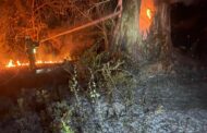 BOMBEROS LINARES EVITAN QUE FUEGO LLEGUE A VIVIENDAS EN CAMACHO.