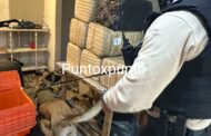 ELEMENTOS DE LA AGENCIA ESTATAL DE INVESTIGACIONES ASEGURAN 250 KILOS DE MARIHUANA.