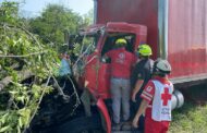 CHOCA CAMION CONTRA ÁRBOL EN CANOAS