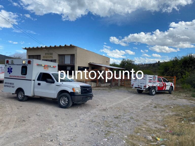 IMG-20240320-WA0061-1