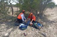 DOS LESIONADOS EN ACCIDENTE VIAL EN LINARES.