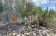 BOMBEROS LINARES COMBATE FUEGO EN UNA COMUNIDAD.