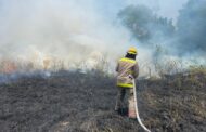 BOMBEROS DE LINARES ATIENDEN REPORTE DE INCENDIO DE PASTIZAL.