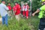 VEHÍCULO CHOCA CONTRA UN ÁRBOL EN LINARES RESULTAN PERSONAS LESIONADAS.