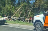 VOLCADURA DE TRÁILER EN CARRETERA NACIONAL EN MONTEMORELOS.