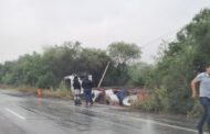 ACCIDENTE VIAL EN CARRETERA NACIONAL EN MONTEMORELOS PARTICIPA UN TRÁILER.