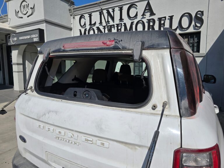 IMG-20241214-WA0019