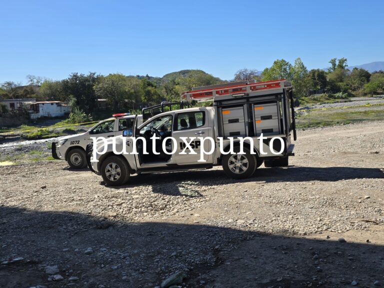 IMG-20241229-WA0003