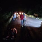 MOTOCICLISTA PIERDE LA VID4 AL CHOCAR CON UN CABALLO.