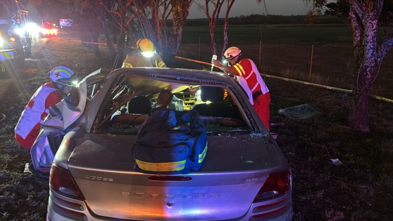 d7f05e87-cb8e-42a5-9c95-21e7048633b9