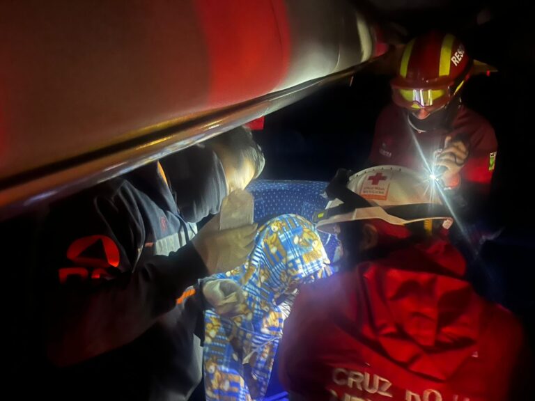 15ca76ce-0ad4-499b-8ed3-c7250db1a732