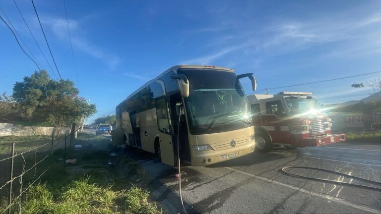 3c768149-0b9e-4038-b48b-55a7791c5dbb