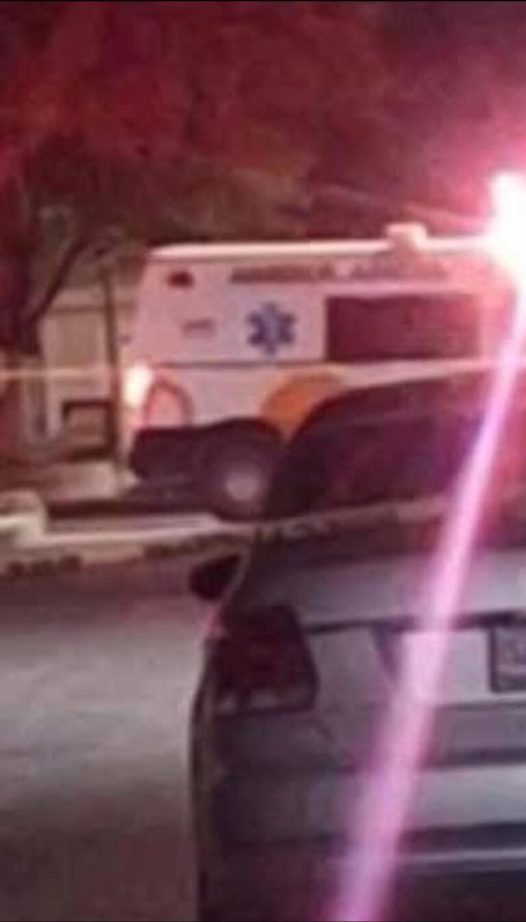 c1c43b2d-3c76-4445-b5bc-78a9877324cf