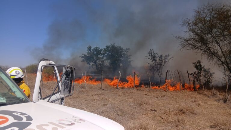 5c172d5e-8cd3-46b4-bc79-db7ea4a56d8f