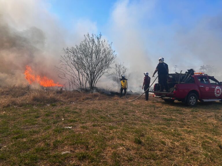 ab61630a-f80b-4278-9e4b-28ad655c8fc6