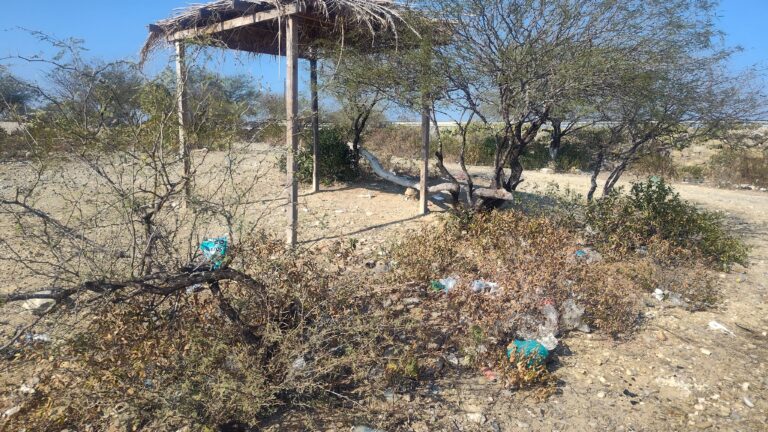 d8cb73a2-9516-4d1a-9d45-b2a48bfe2123