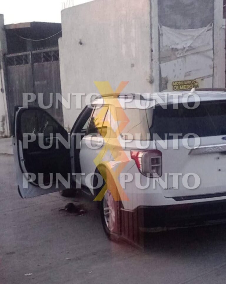 55119993-d926-4d95-9ff0-99d4532f8968