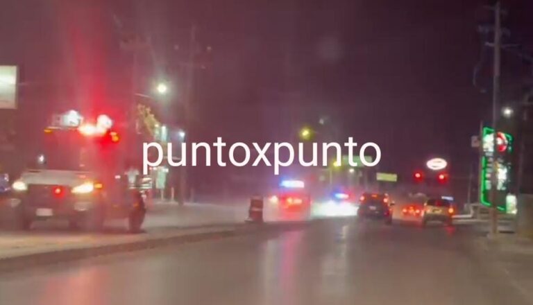 87447260-4baa-4684-8aa4-a460cd1728f2