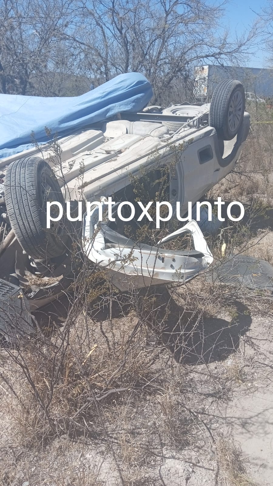 ac0504c2-2384-4f63-9d21-12c6259efaa9