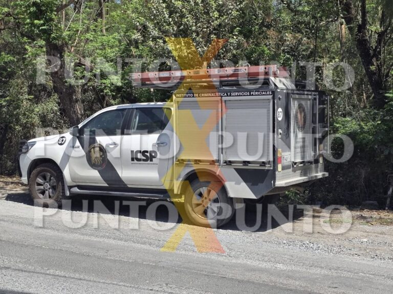 d964084c-c7c9-4b64-b96c-98e58cf65ae0