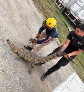 05f483f0-6110-4eee-bde6-33f3050cd0d9