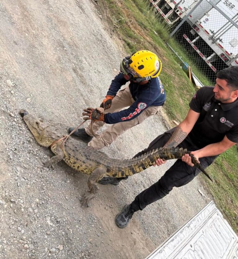 05f483f0-6110-4eee-bde6-33f3050cd0d9