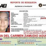 SECUESTRAN A NIÑO Y SUS ABUELITOS CUANDO VIAJABAN EN UN TRÁILER EN GALEANA.