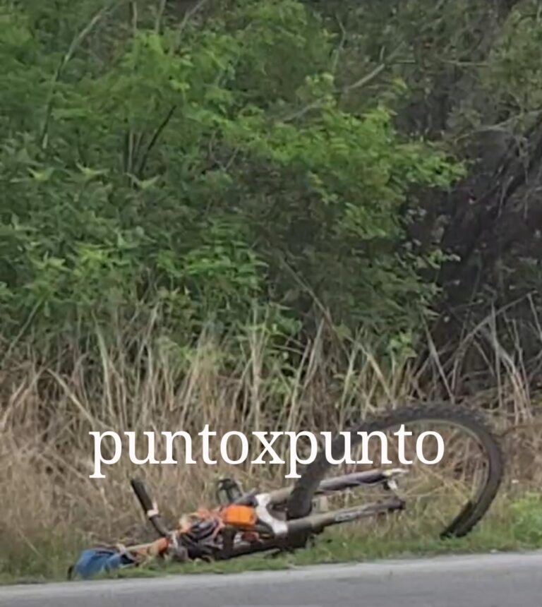 ed5079db-8332-41b2-a3b9-34b0c8bef0c4