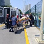 UNA PERSONA MUERE POR ATAQUE DE ABEJAS EN SANTIAGO.