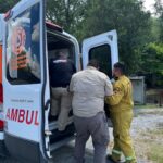 ATACAN ABEJAS A DOS TRABAJADORES EN GENERAL TERÁN, LOS TRASLADAN DE URGENCIA.