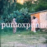 3 INTEGRANTES DE UNA FAMILIA SON ATACADOS POR ABEJAS EN DR. ARROYO