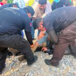 ADULTO MAYOR DESAPARECE EN LINARES, PROTECCIÓN CIVIL IMPLEMENTA OPERATIVO, LOGRAN ENCONTRARLO SANO Y SALVO.