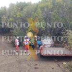 OTRO CAMPESINO QUE PIERDE LA VIDA AL CAERLE TRACTOR ENCIMA EN LINARES.