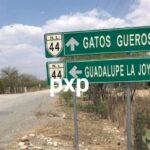 ASEGURAN EN GATOS GUEROS EN LINARES VEHÍCULO ABANDONADO.